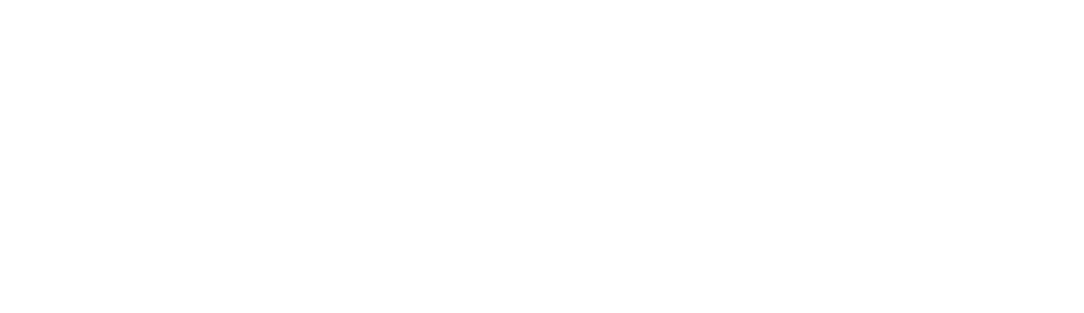 VALKYAI Logo